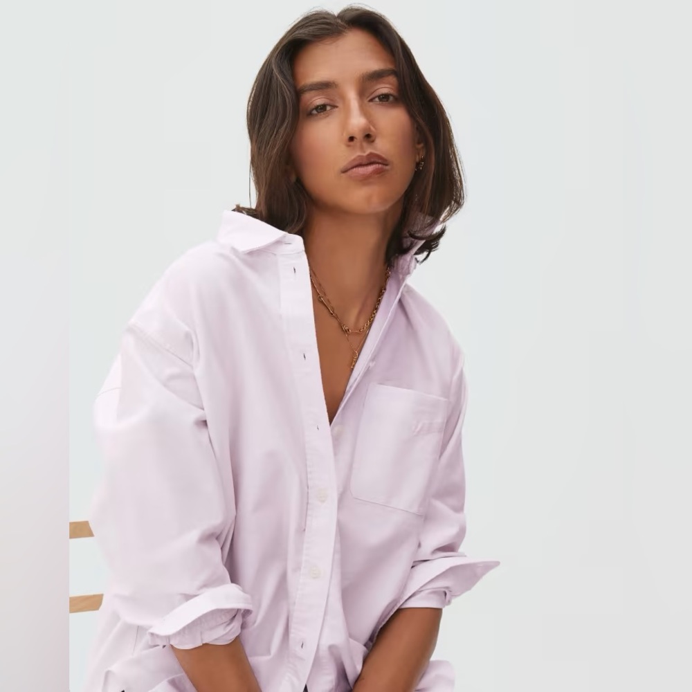 EVERLANE THE OVERSIZED OXFORD SHIRT IN PINK 4
